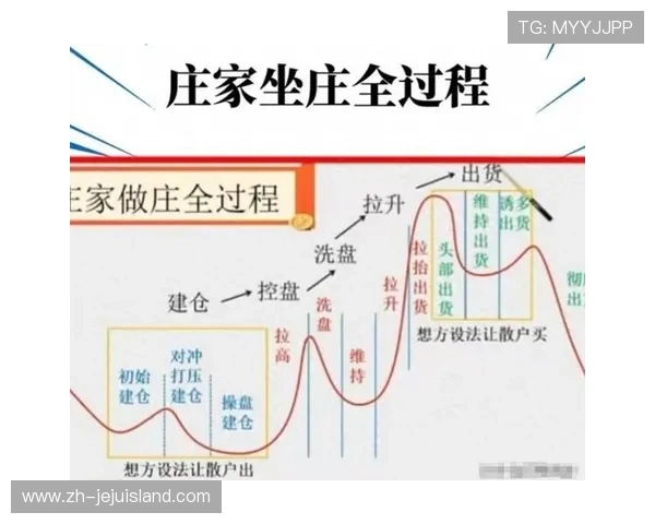 大庄家登录操作步骤详尽指南帮助新手快速上手