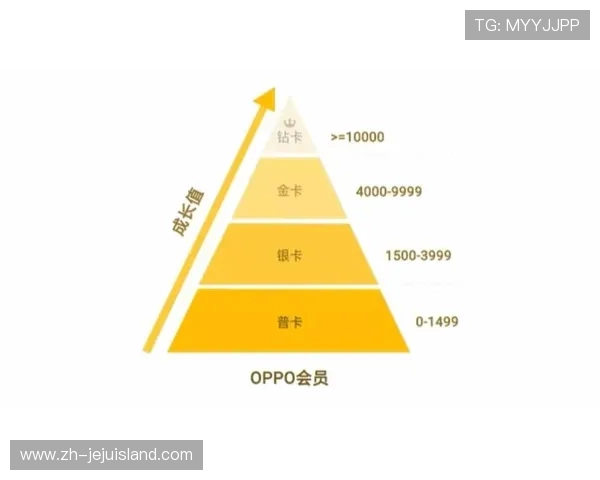 九游体育会员制度详解帮助用户了解会员权益及提升专属服务体验