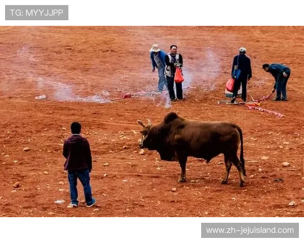 优质真人斗牛网址汇总帮助玩家快速找到可信赖的线上斗牛娱乐平台 优质真人斗牛网址汇总帮助玩家快速找到可信赖的线上斗牛娱乐平台