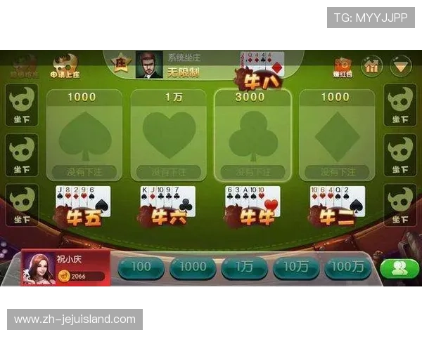 百家樂玩法全攻略：从基础规则到高级技巧的全面解析