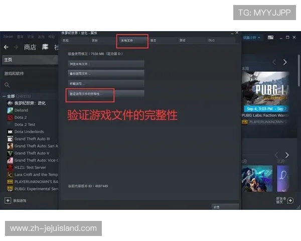 掌握PA视讯下载的最佳途径，保障你的游戏账号安全与数据完整性