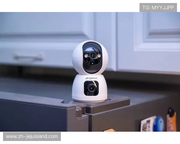 真人视讯官方入口全天候在线，确保玩家随时随地畅享真实娱乐体验