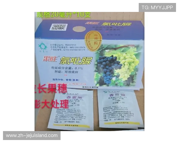 新葡葡萄京娱乐官网最新优惠活动全面解析,助你轻松赢取丰厚奖金和提升游戏体验 新葡葡萄京娱乐官网最新优惠活动全面解析,助你轻松赢取丰厚奖金和提升游戏体验